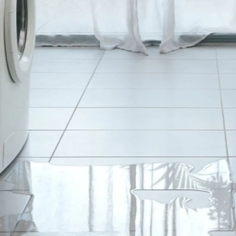 Appliance Leak Cleanup in Gholson, TX