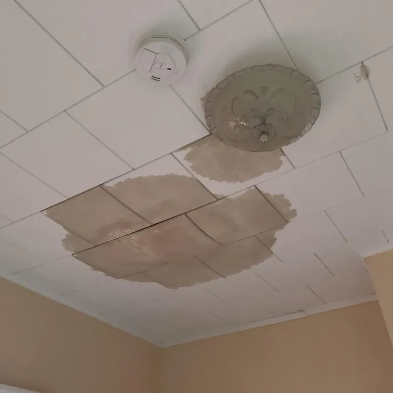 Ceiling Water Damage Repair in Gholson, TX