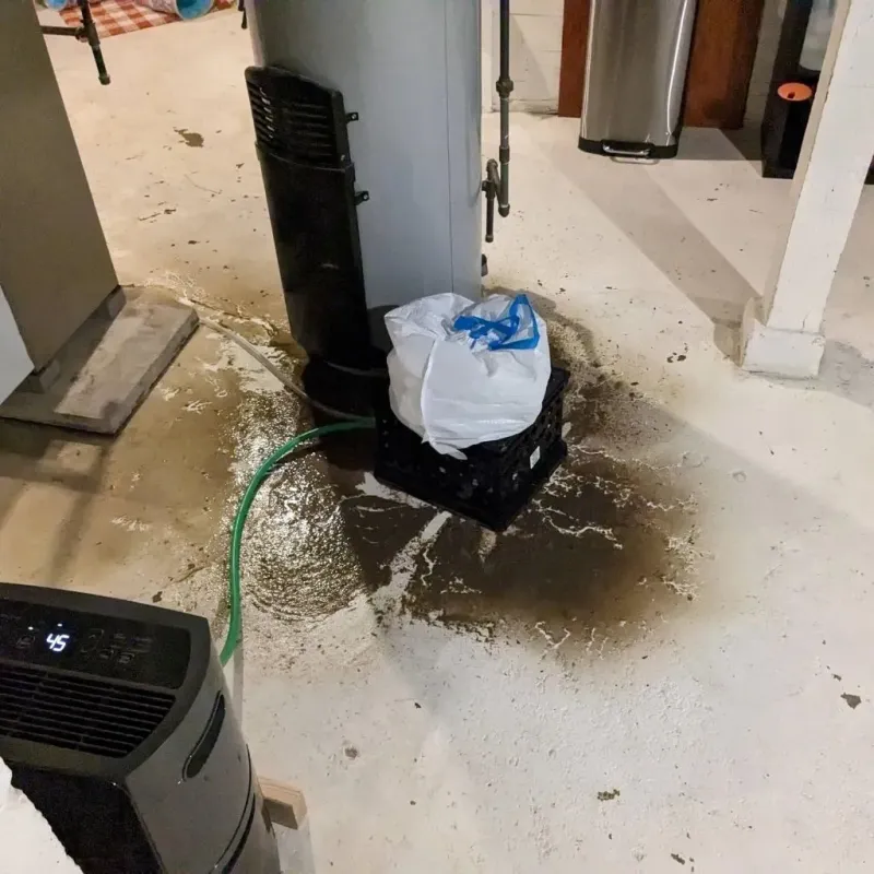 Sewage Backup Cleanup Service in Gholson, TX